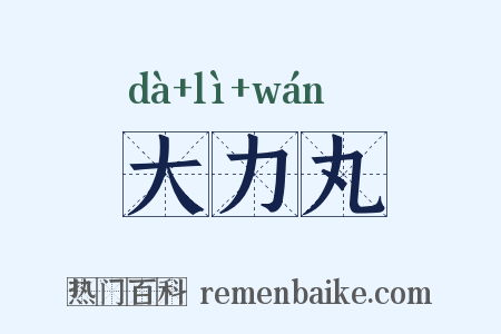 大力丸是什么意思的图片